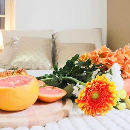 Le Tropical, Chic & Design *