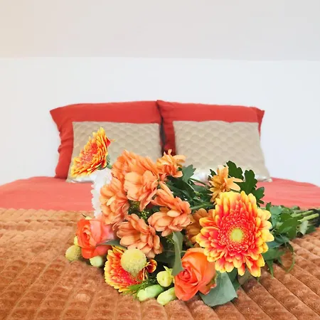 Apartamento Le Tropical, Chic & Design